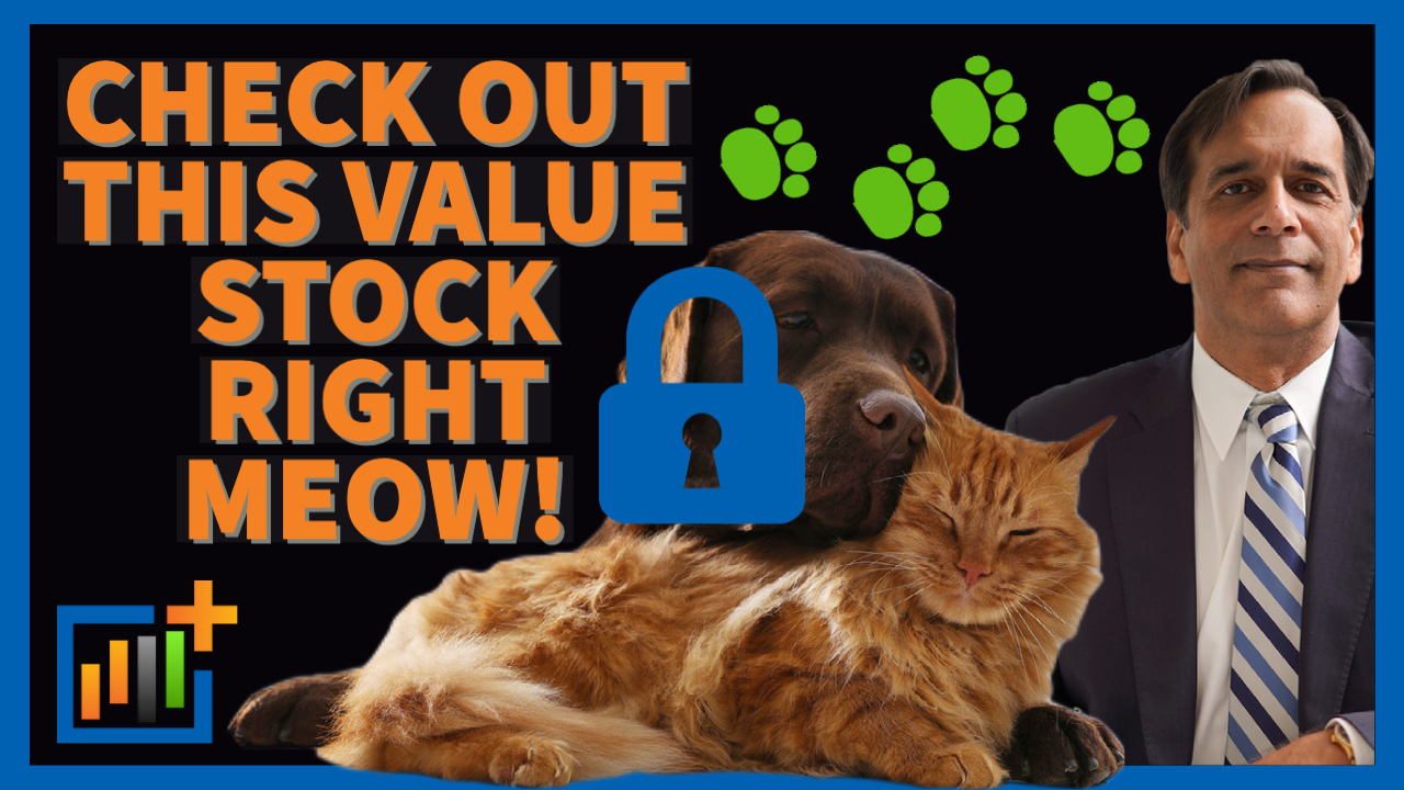 Video - Value Stock Right Meow