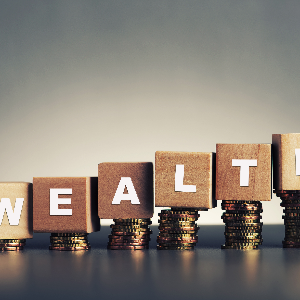 Image of Wooden Blocks Spelling the Word Wealth