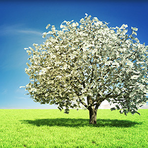 Image of a money tree