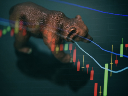 Bear Market