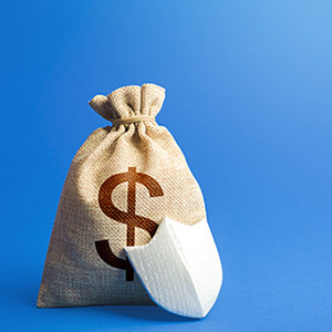 Image of a money bag with a protective shield