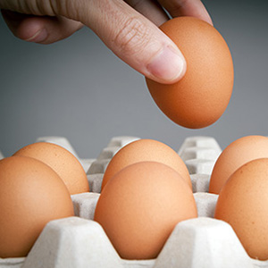 Image of a carton of eggs