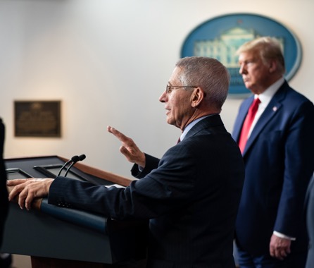 Fauci and Trump