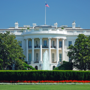 Government Policies Affect the Market