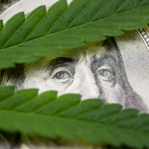 Invest in Cannabis