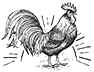 Rooster