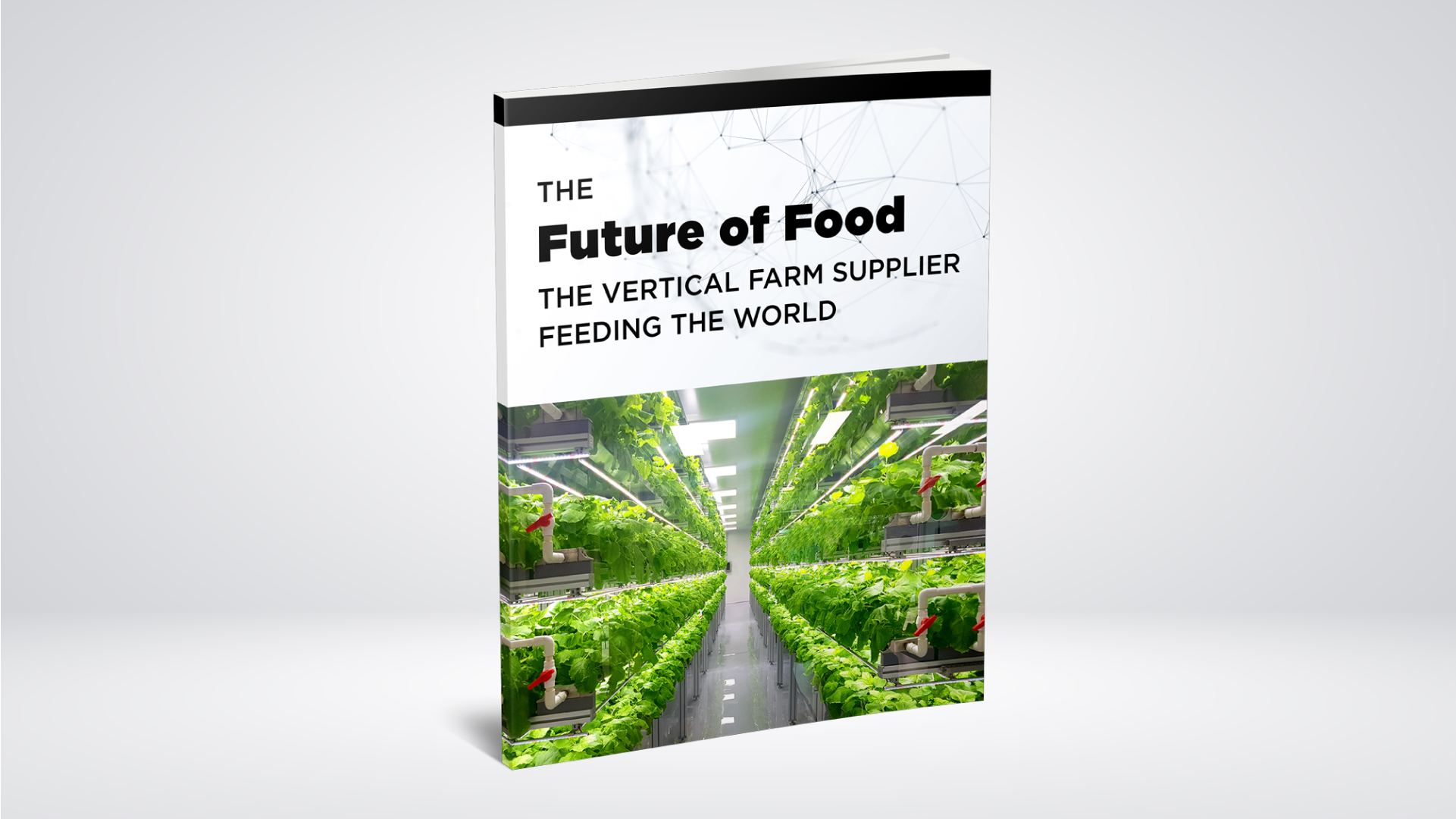 The Future of Food: The Vertical Farm Supplier Feeding the World
