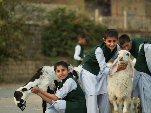PSH angels taking pics with goats