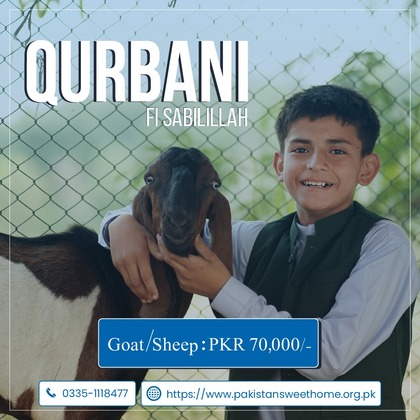 Donate Qurbani of Goat and Sheep to PSH 