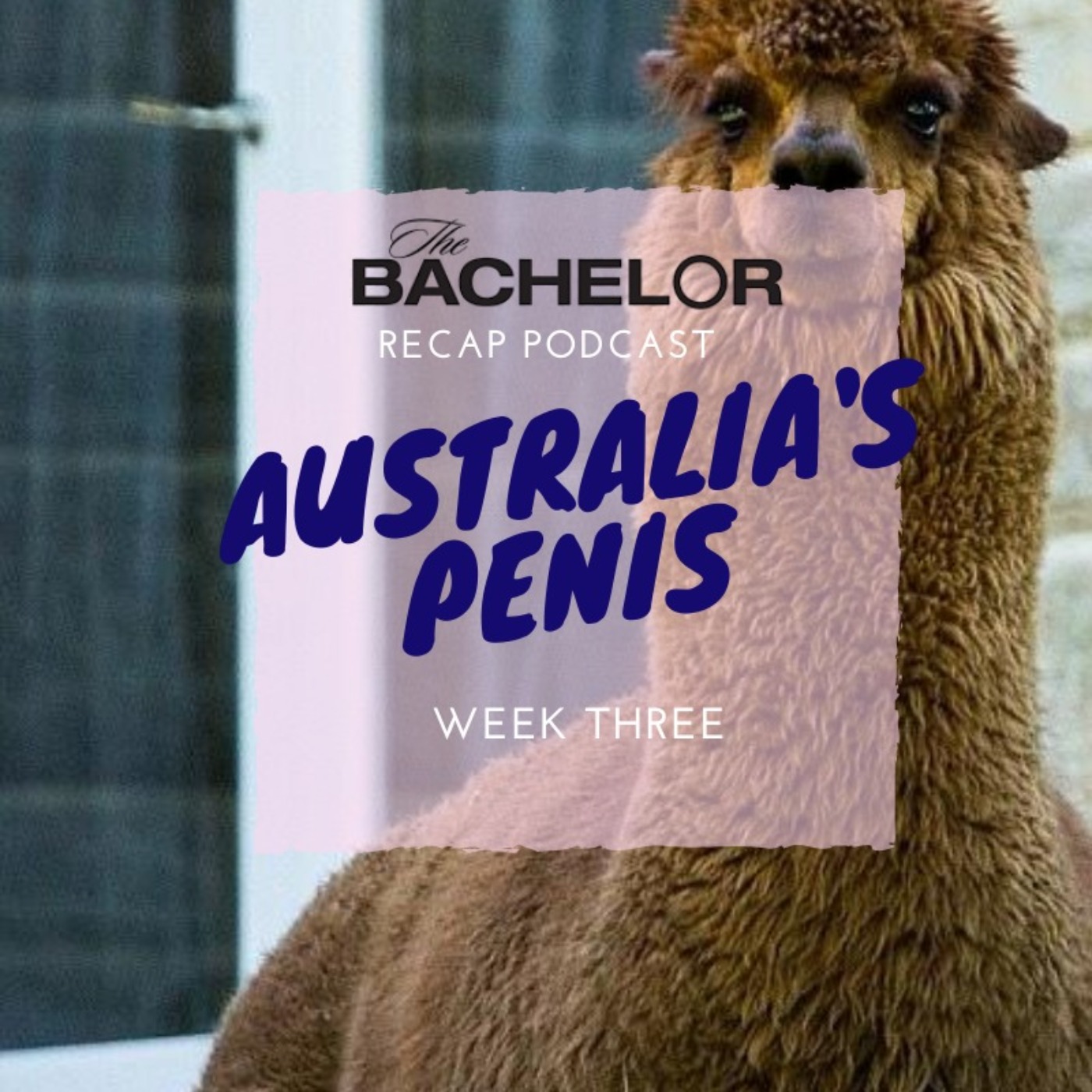 penisuri australia fără erecție în pat