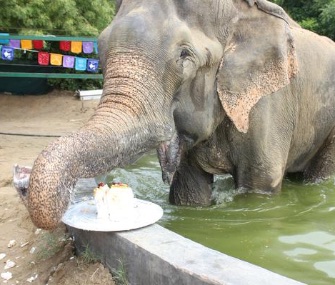 raju-eating-cake.jpg