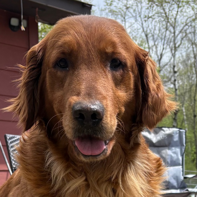 Esther