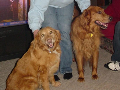 Brooklyn 08-589 (crossed the Rainbow Bridge on April 25, 2009) and Harley