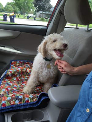 Heading Home!