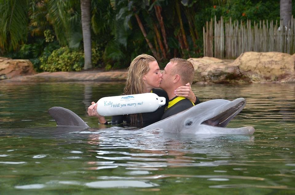 SeaWorld's Discovery Cove Rents Dolphins Out As Photo Props