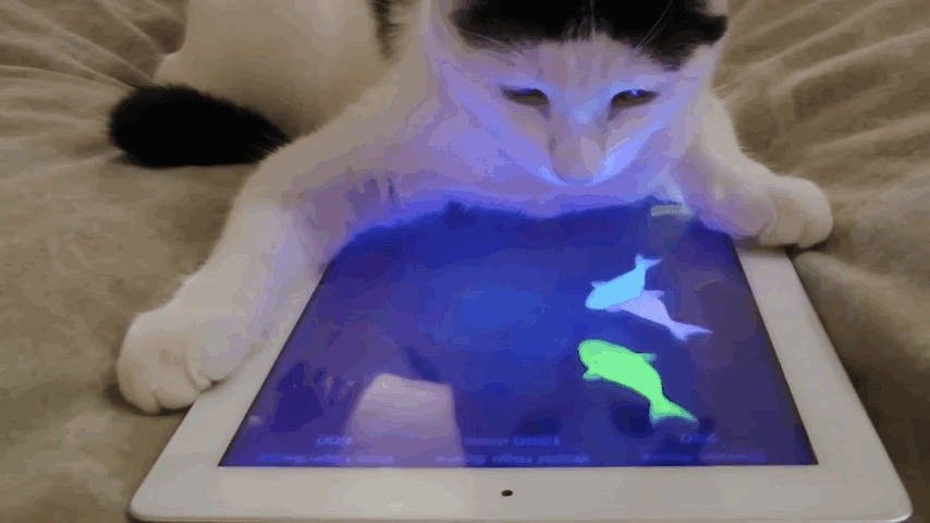 7 Animals Who Have Mastered Technology And Are Going To