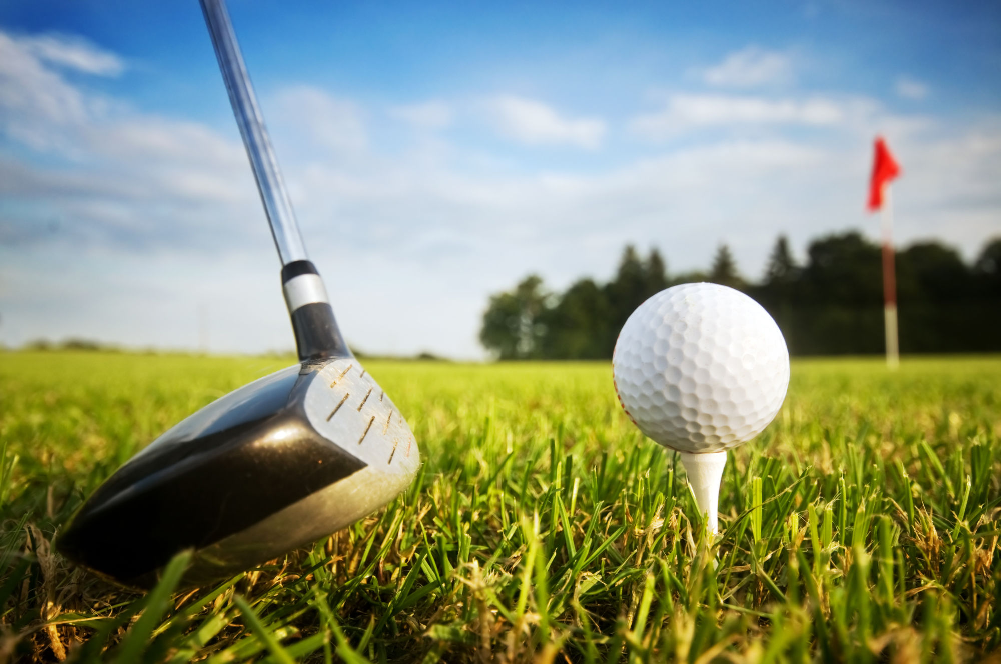 Golf2019.jpeg