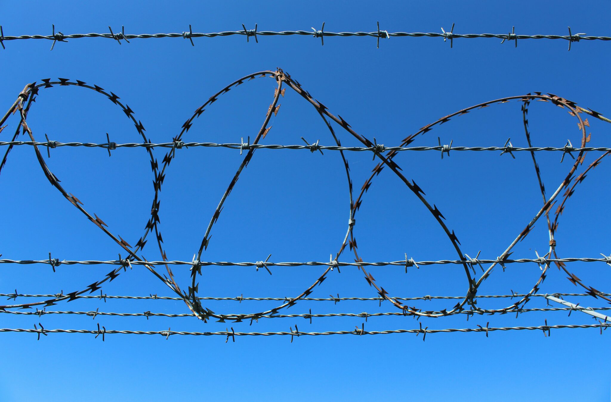 Home Reformed Journal