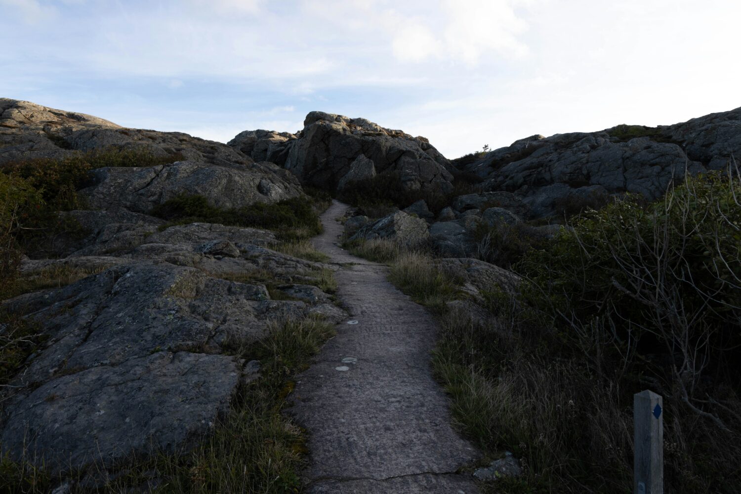 Rugged hiking trail.