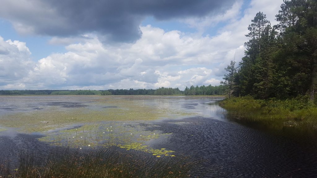 Favourite season winter short paragraph image