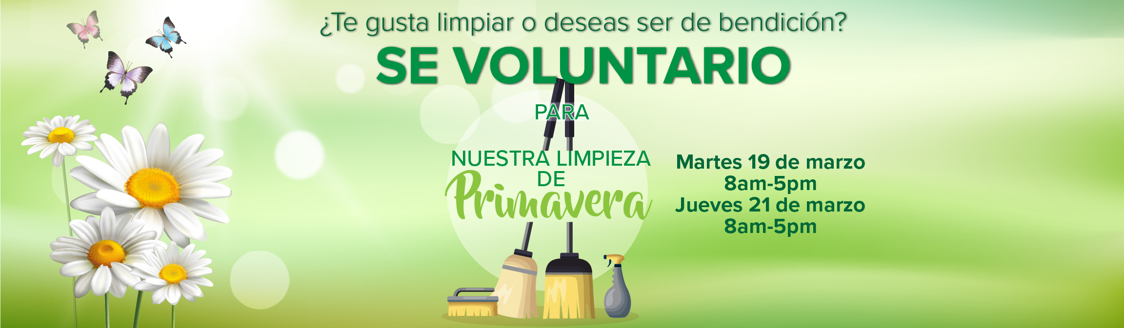 Limpieza de Primavera