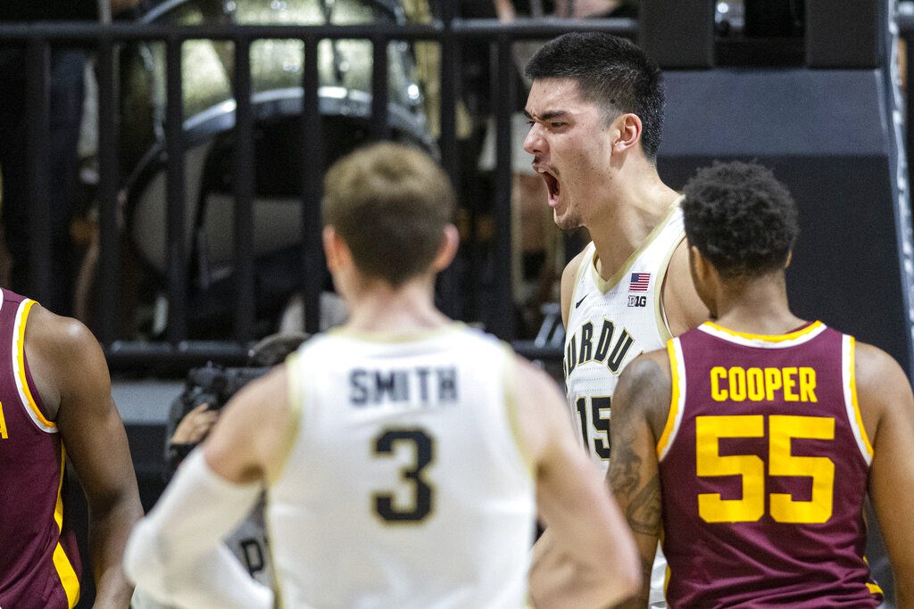 Purdue Boilermakers vs. Hofstra Pride College Basketball Betting