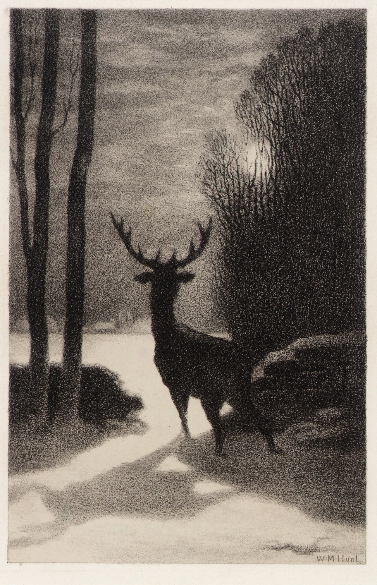 Stag In The Moonlight Smithsonian American Art Museum