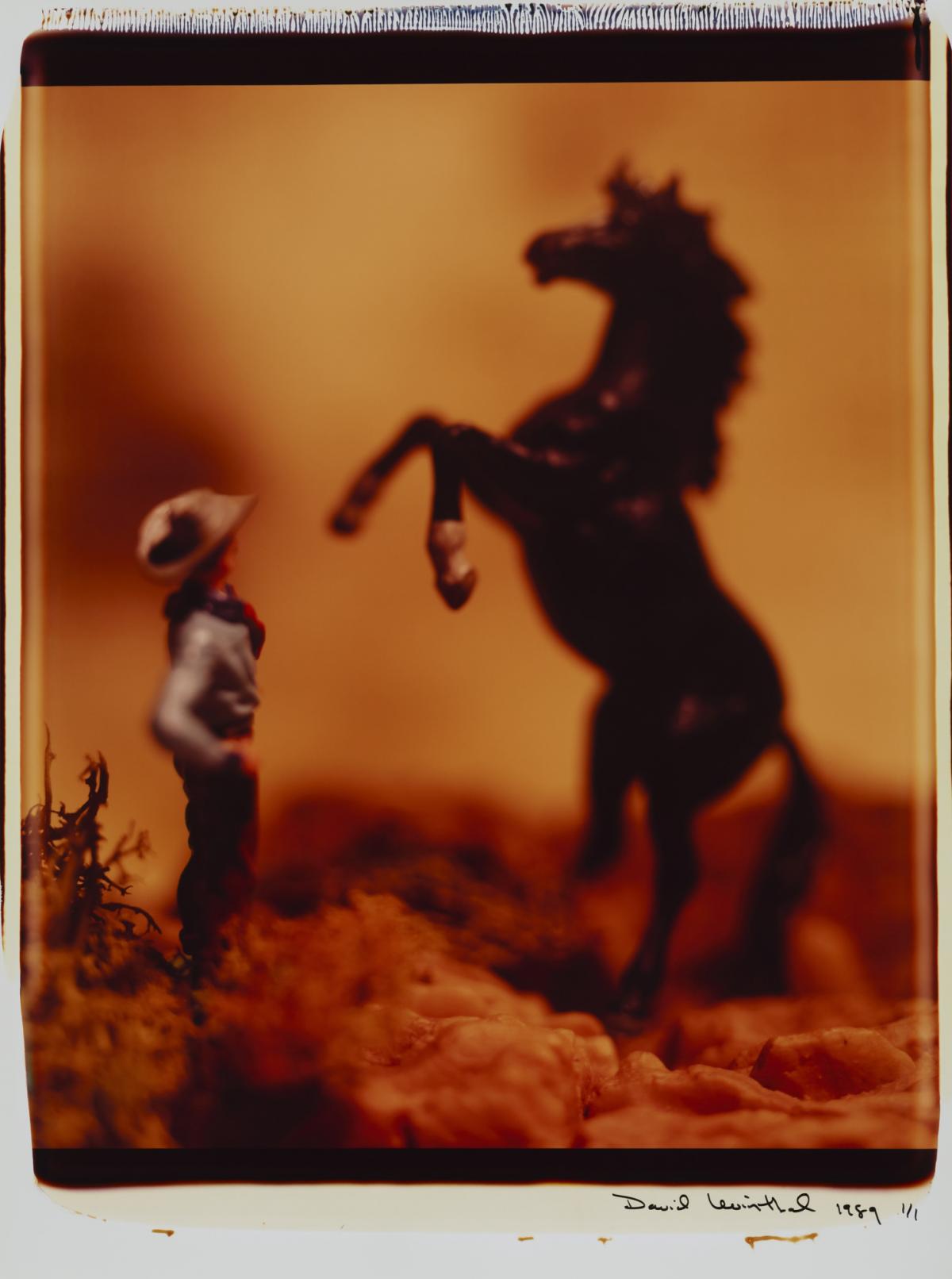 David Levinthal Toying with the Past? Smithsonian American Art Museum