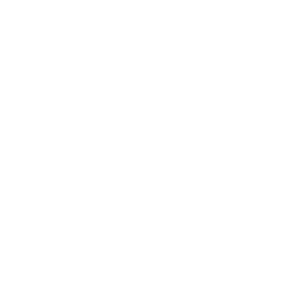 Shannon Boyle Artistry