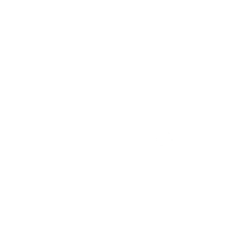 Skin Point
