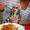 Test 3 0()