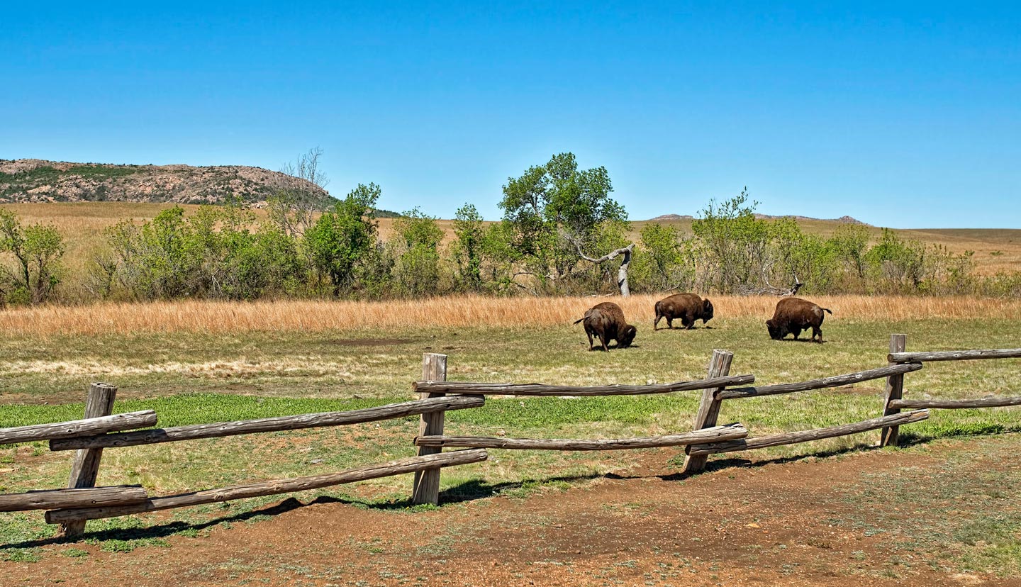 State Car Insurance: Most & Least Expensive Rates | SmartFinancial