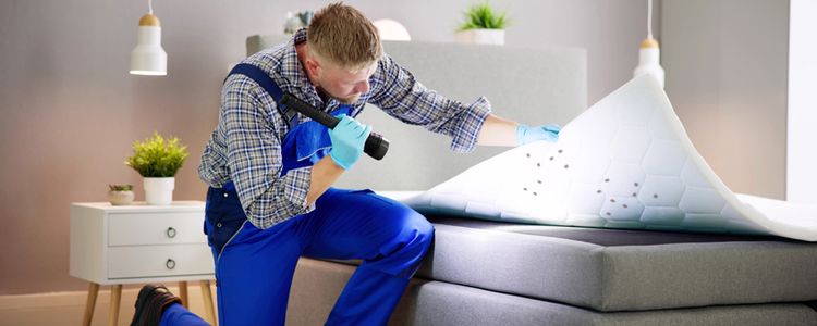 Does Home Insurance Cover Pest Control? | SmartFinancial