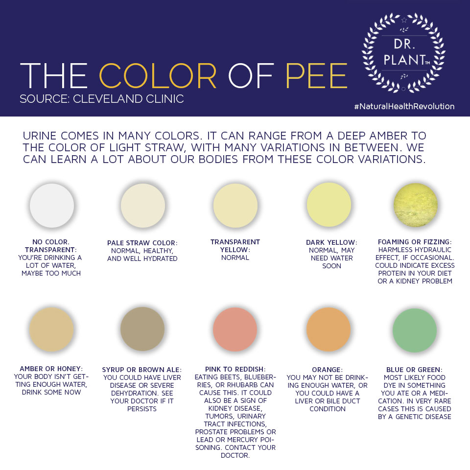 What pee colors mean The Meaning Of Color