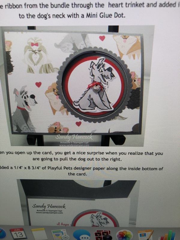 sandy's pampered pets