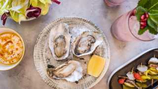This is a photo of oysters, side dishes and a cocktail at Burnt Orange in Brighton.