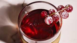 Colour image of Christmas Negroni at Luca