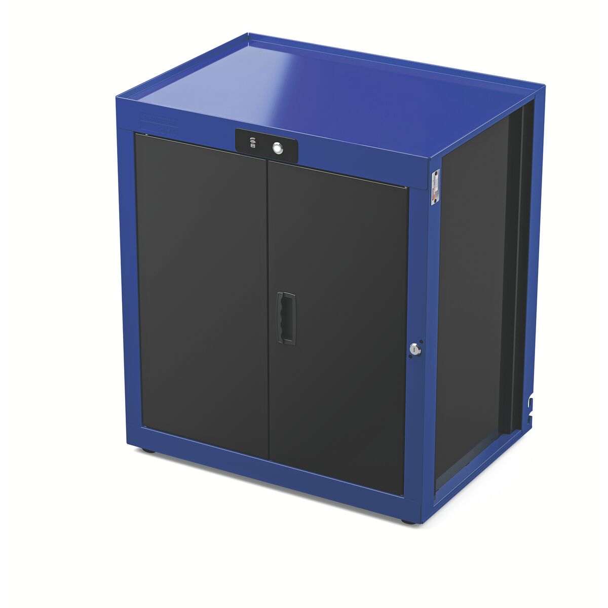 MODULO 2 PORTAS TRANCA EL AZUL