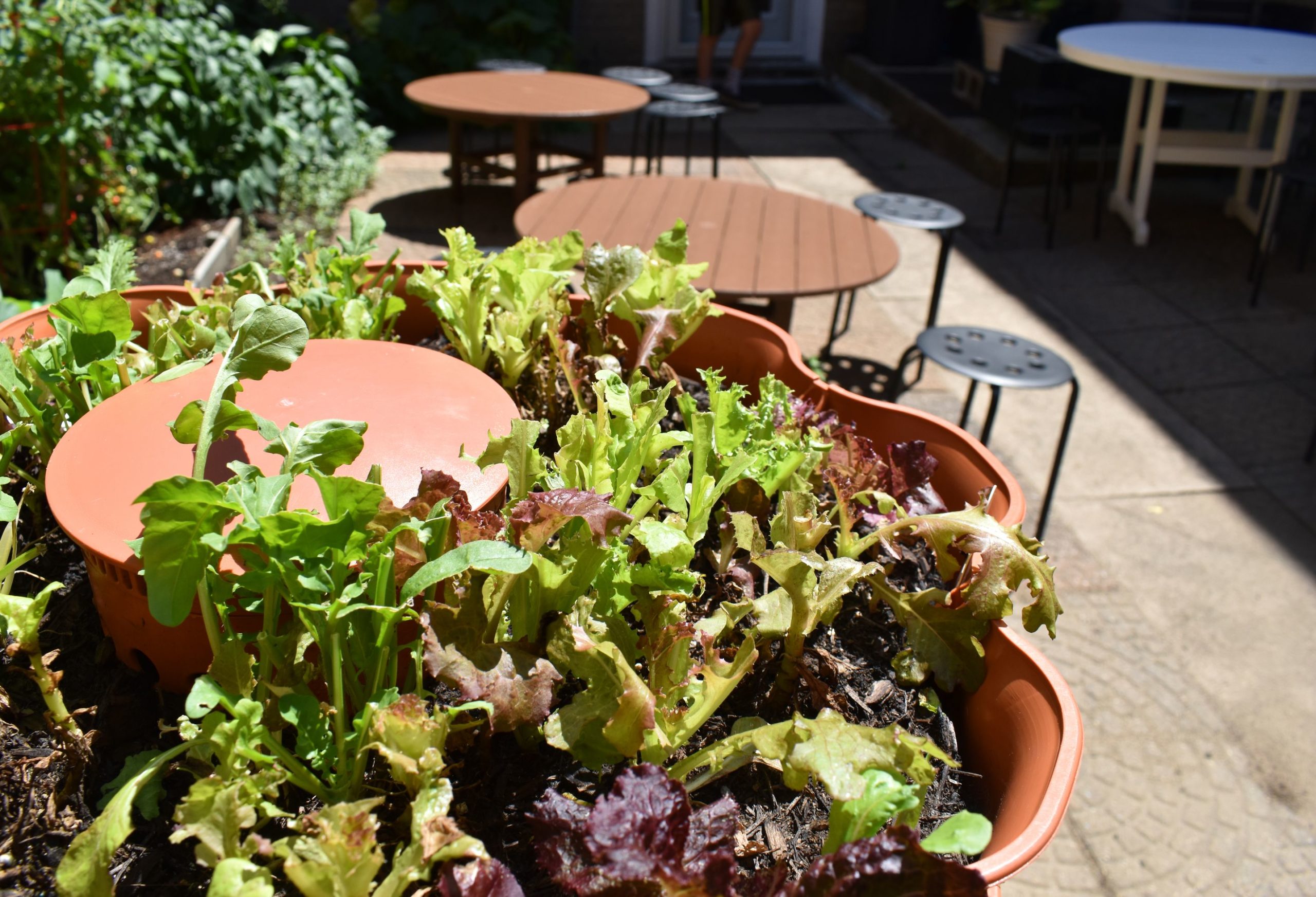 Harvest Coffee Visit Kosciusko County