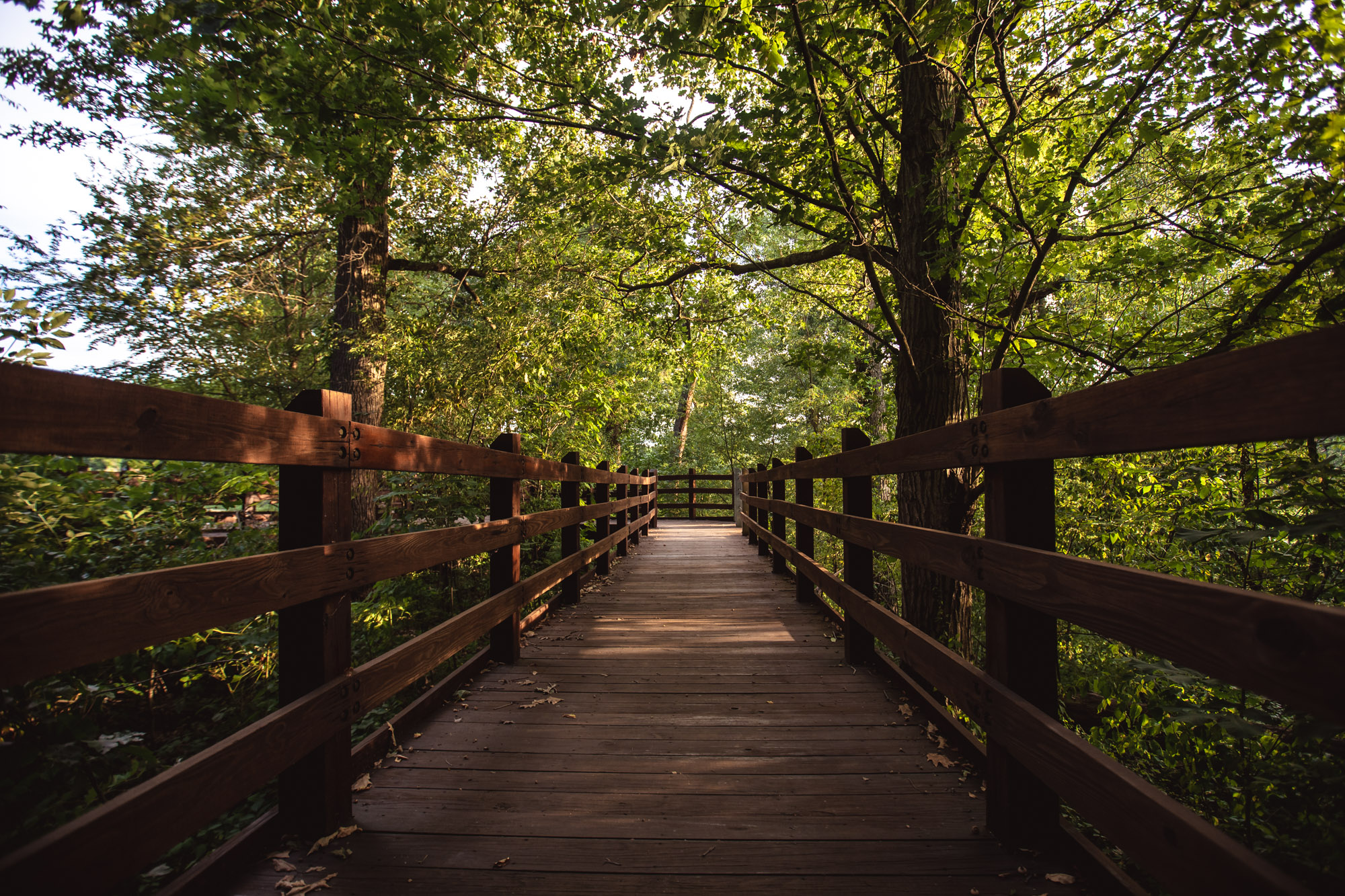 Pisgah Marsh Area and Boardwalk Visit Kosciusko County