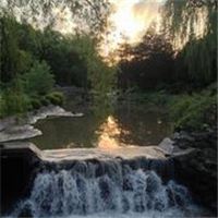 Urban Nature Photography Toronto