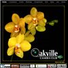 Oakville Camera Club