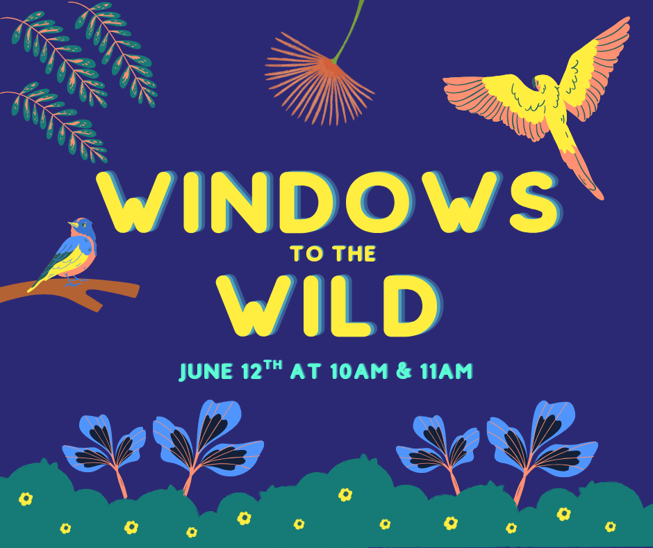 Window to the Wild flyer