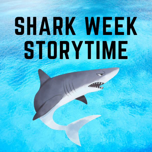 Preschool Storytime flyer