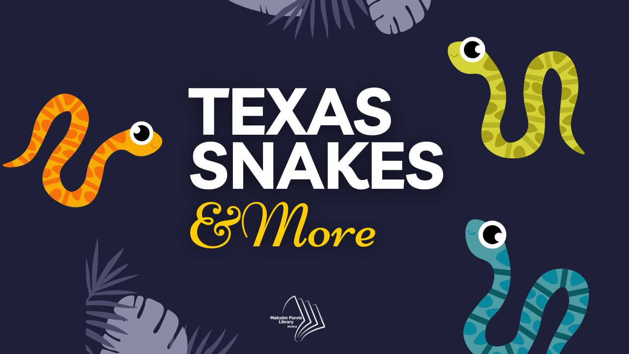Malcolm Purvis (Magnolia) Library- Texas Snakes and More