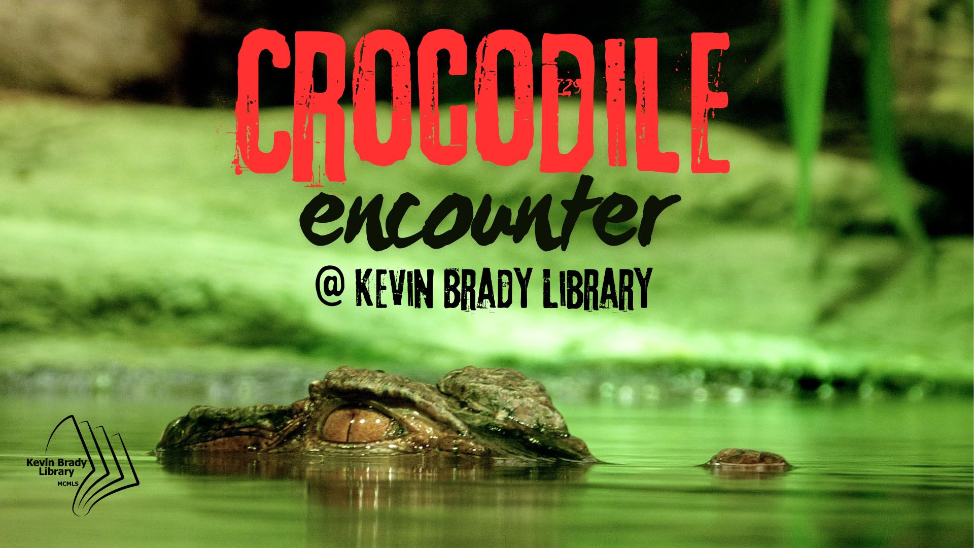 Brady Library: Crocodile Encounter flyer