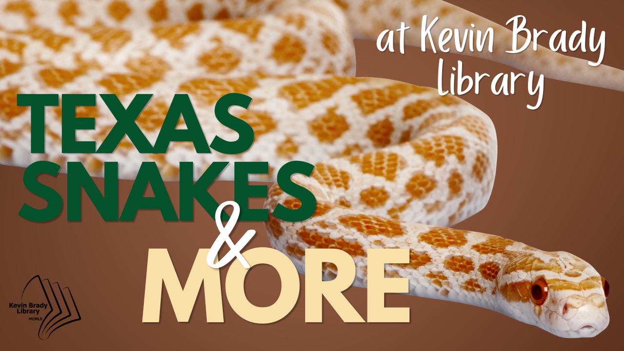 Brady Library: Texas Snakes and More