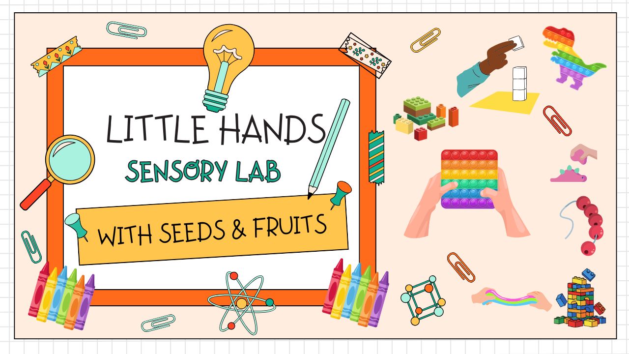 Brady Library: Seeds & Fruits Christian Academy Little Hands Sensory Lab