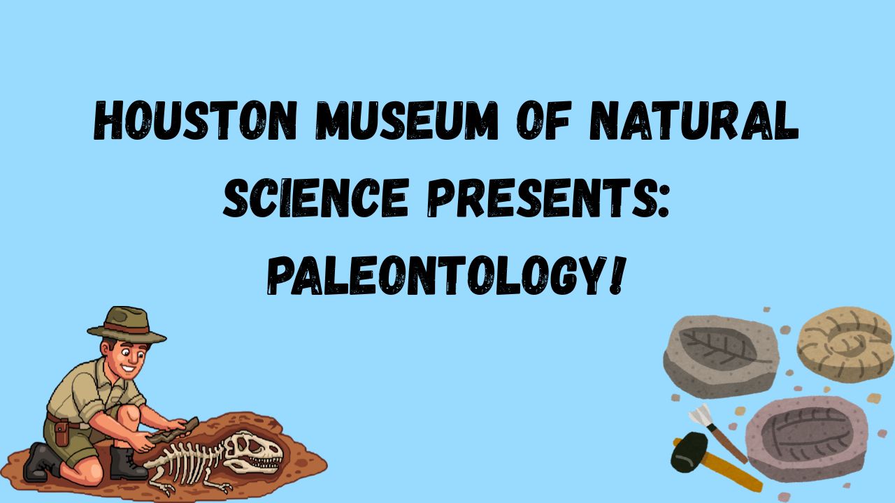 Brady Library: Paleontology with HMNS
