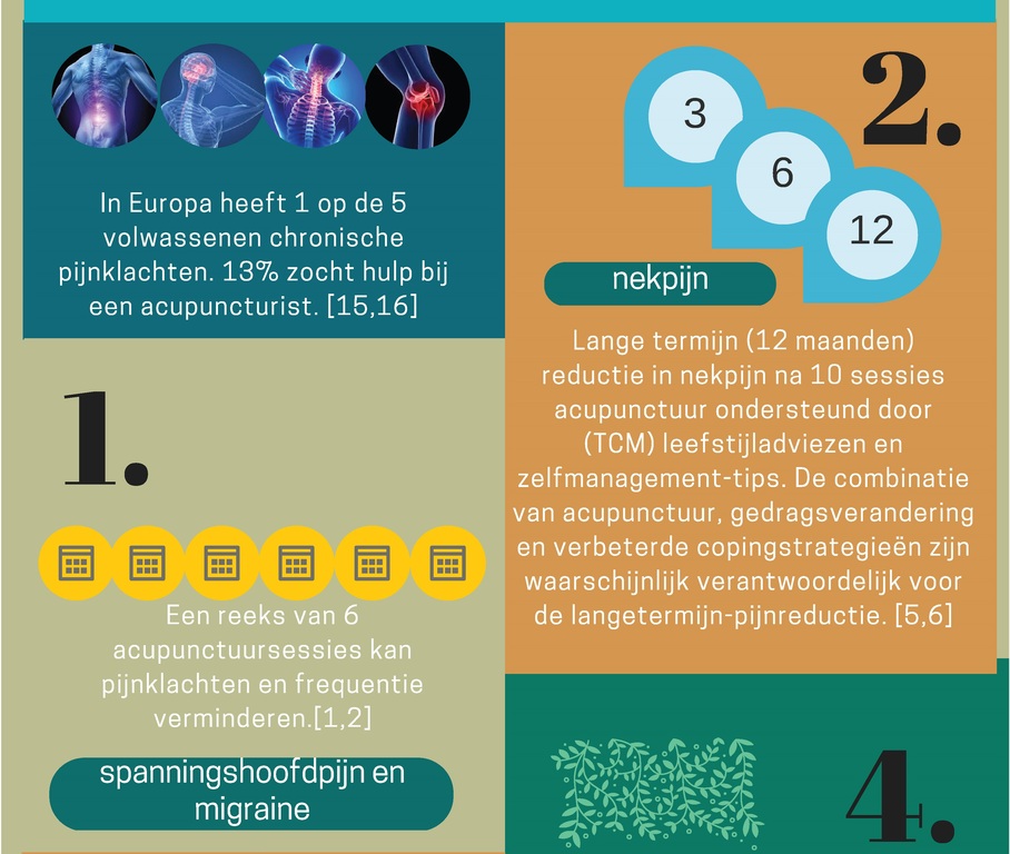 Chronische pijn - infographic